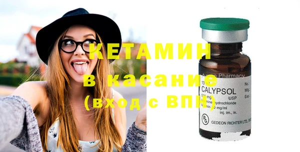 индика Богданович