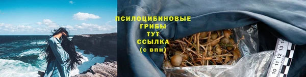 мдпв Богородск