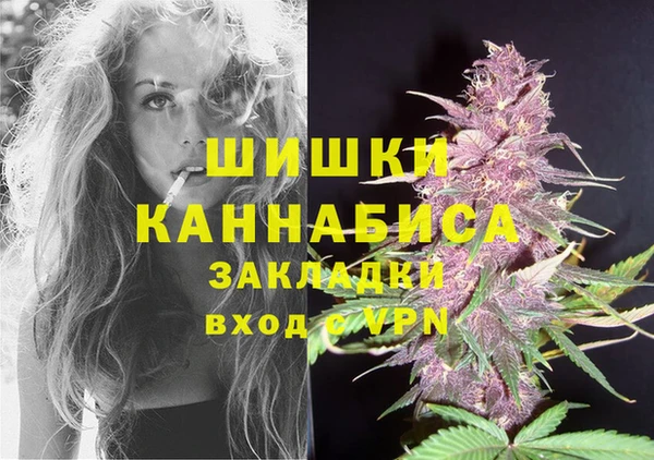 ГАЛЛЮЦИНОГЕННЫЕ ГРИБЫ Белокуриха