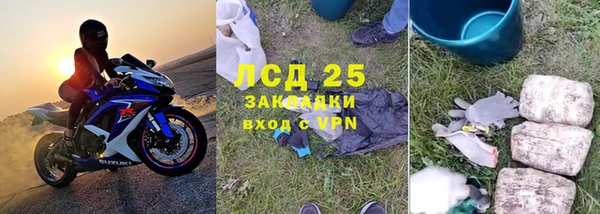 PSILOCYBIN Верея