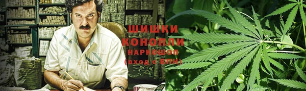 спайс Богородицк