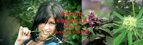 индика Богданович