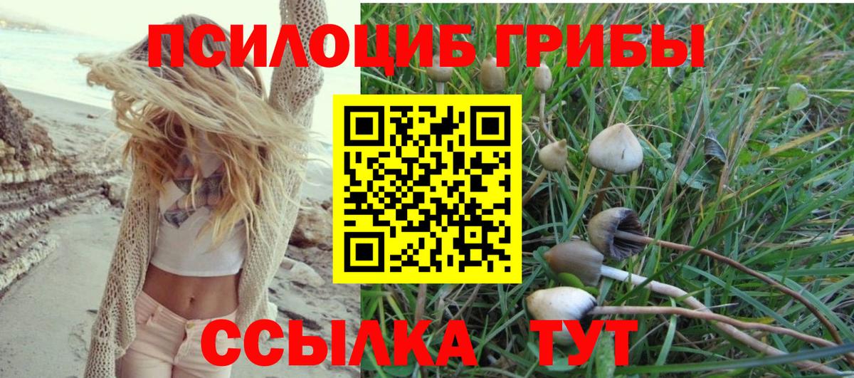 Галлюциногенные грибы ЛСД Северск